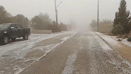 بدء تساقط الثلوج في الرشادية   صور
