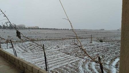 بدء تساقط الثلوج في المزار الجنوبي