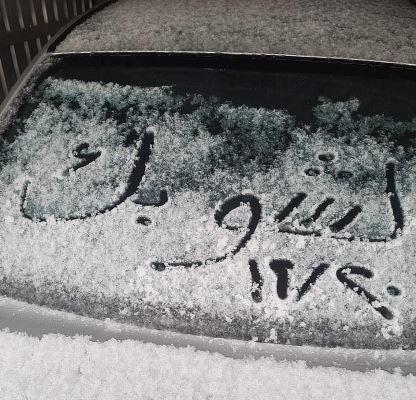 تعليق دوام الموظفات في الشوبك