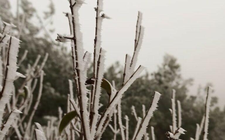 ظاهرة الضباب المتجمد في مرتفعات الطفيلة  صور