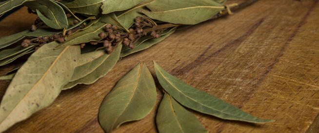 ستصدمك أسرار حرق أوراق الغار في منزل