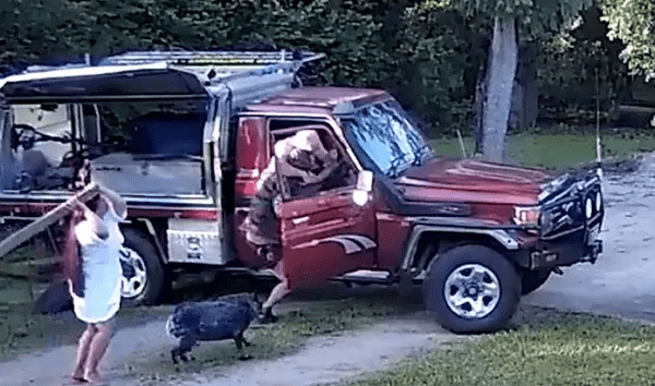 زوجان يتحدان بطريقة مثالية لإيقاف لص حاول سرقتهم  فيديو 