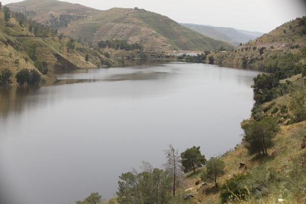  7 مليون م3 خزنتها سدود الأردن خلال المنخفض  