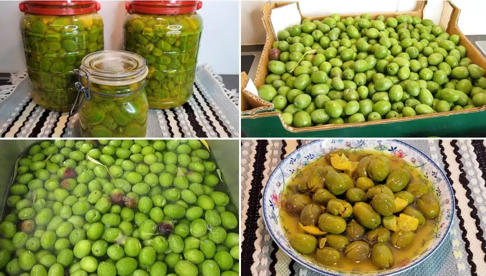 الطريقة الصحيحة لإعداد الزيتون الأخضر