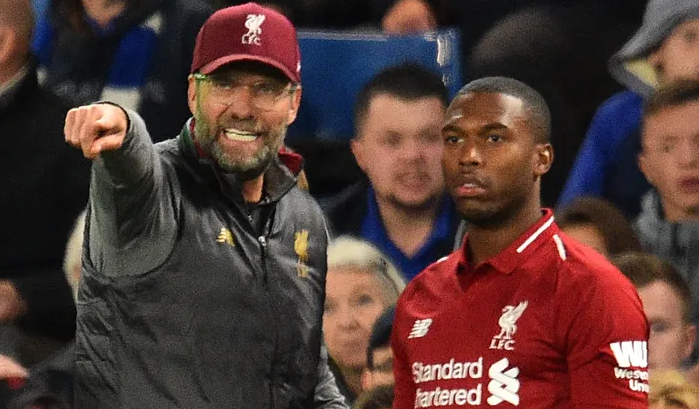 القضاء الأميركي يبت في أزمة كلب ستوريدج