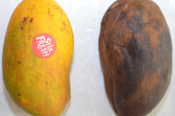 أسباب فساد الفواكة سريعاً في المنزل