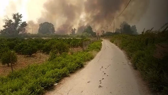 الأردن يفاوض إسرائيل على تعويضات الحرائق