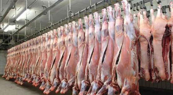 توضيح جديد بعد منع أبو طلال من التصدير