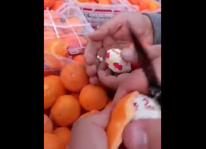 لبنان  احباط تهريب مخدرات في فواكه اصطناعية  فيديو