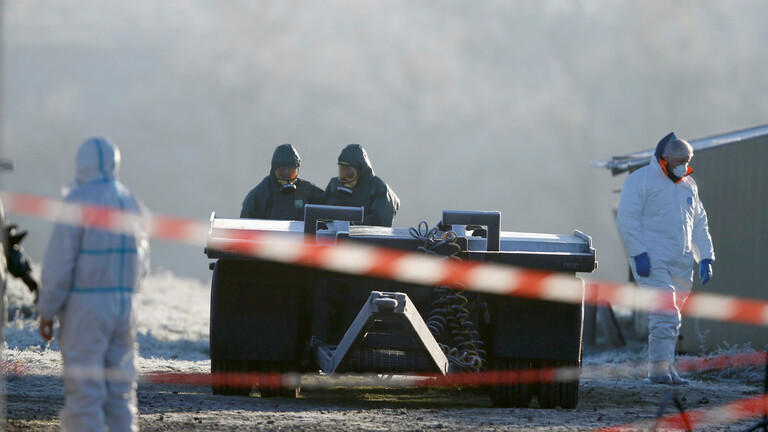 فرنسا تعدم أكثر من 600 ألف دجاجة 