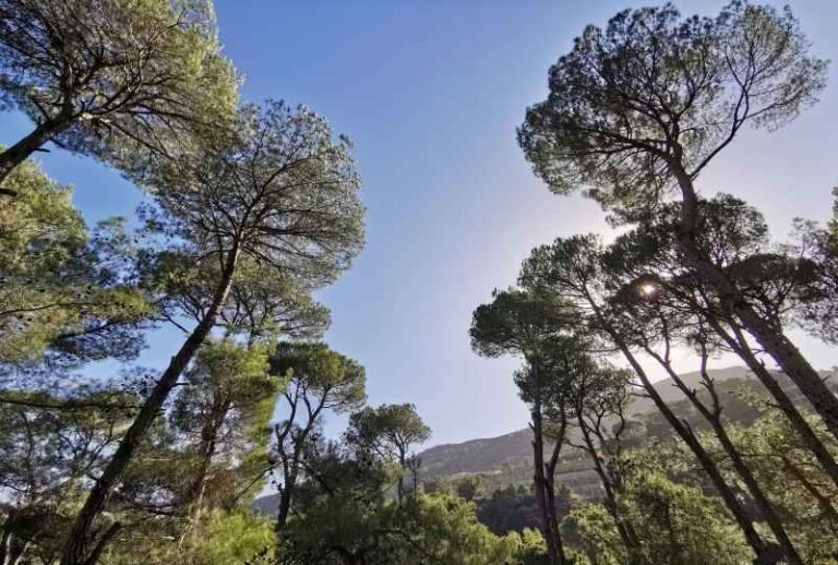 ادراج بلدة لبنانية بين أفضل القرى السياحية عالميا - صور