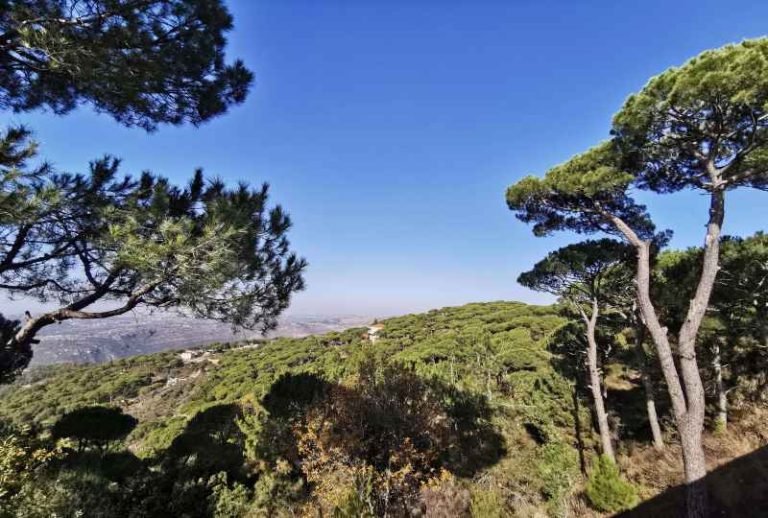 ادراج بلدة لبنانية بين أفضل القرى السياحية عالميا - صور