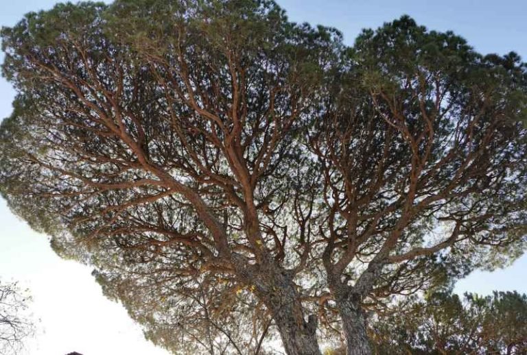 ادراج بلدة لبنانية بين أفضل القرى السياحية عالميا - صور