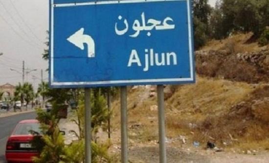 إغلاق منشأة وضبط مواطنين غير ملتزمين بالحجر بعجلون