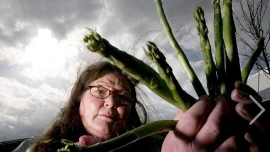 عرافة بريطانية تتوقع أحداثا غير عادية 