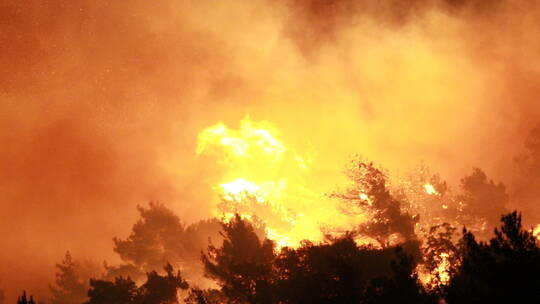 إخماد حريق ضخم في لبنان 