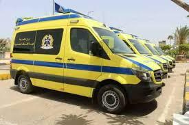 الأمن المصري يكشف سبب نقل قاتل الطلاب الأربعة في سيارة إسعاف