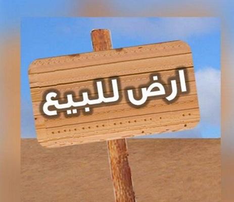 ما حقيقة توزيع أراض بالمجان على الأردنيين