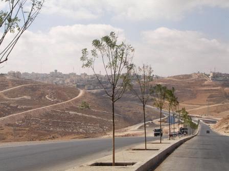 زراعة 20 ألف شجرة بعمان في 2021