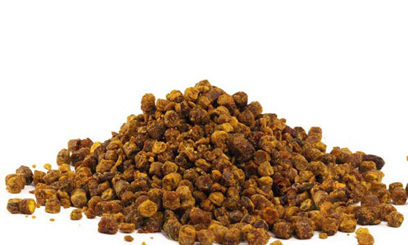 العكبر وفوائده الخارقة لا تتجاهلها