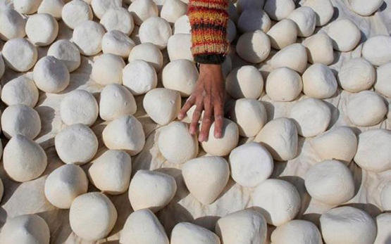 إدانة 3 موظفين وحبسهم بقضية إدخال جميد مخالف 