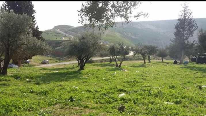 دعوة إلى عدم استخدام المبيدات لمكافحة الأعشاب بالأردن