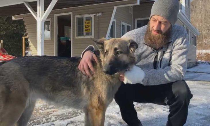 كلبة تقود الشرطة إلى موقع حادث تعرّض له صاحبها  صور