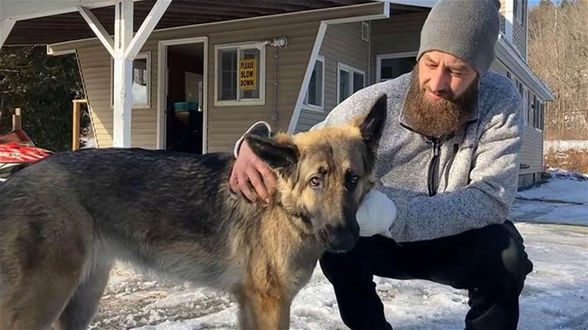 كلب يستدعي الشرطة لإنقاذ صاحبه  فيديو