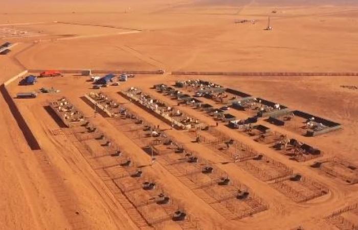 أول فندق 5 نجوم للإبل بالسعودية وتفاعل في مواقع التواصل