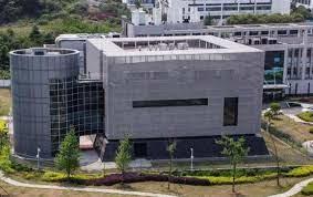 لغز ووهان رسائل لفاوتشي قد تفضح لماذا أخفي سر كورونا