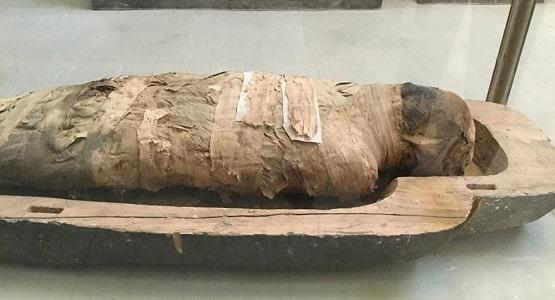 هل عرض المومْيَاوَات ودراستها يعتبر تمثيلاً بالموتى