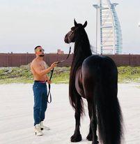 بالحصان الأسود محمد رمضان يلفت الأنظار في أحدث ظهور