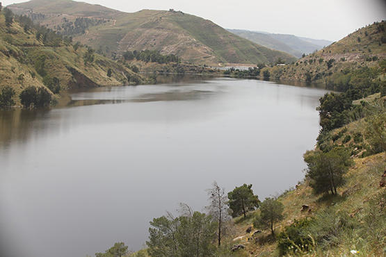 عمان تسجل اعلى نسبة هطول في المنخفض