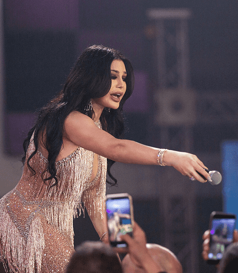 تعرفوا على ثروة الفنانة هيفاء وهبي