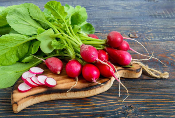 الفجل مشروب سحري لتفتيت الدهون