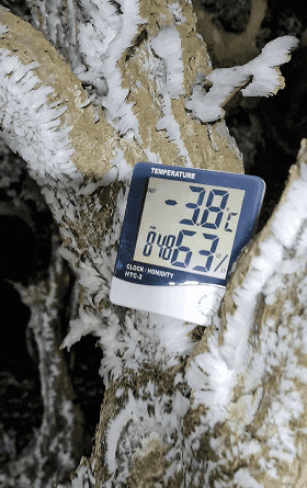 انخفاض قياسي بدرجة الحرارة في الشوبك  صور