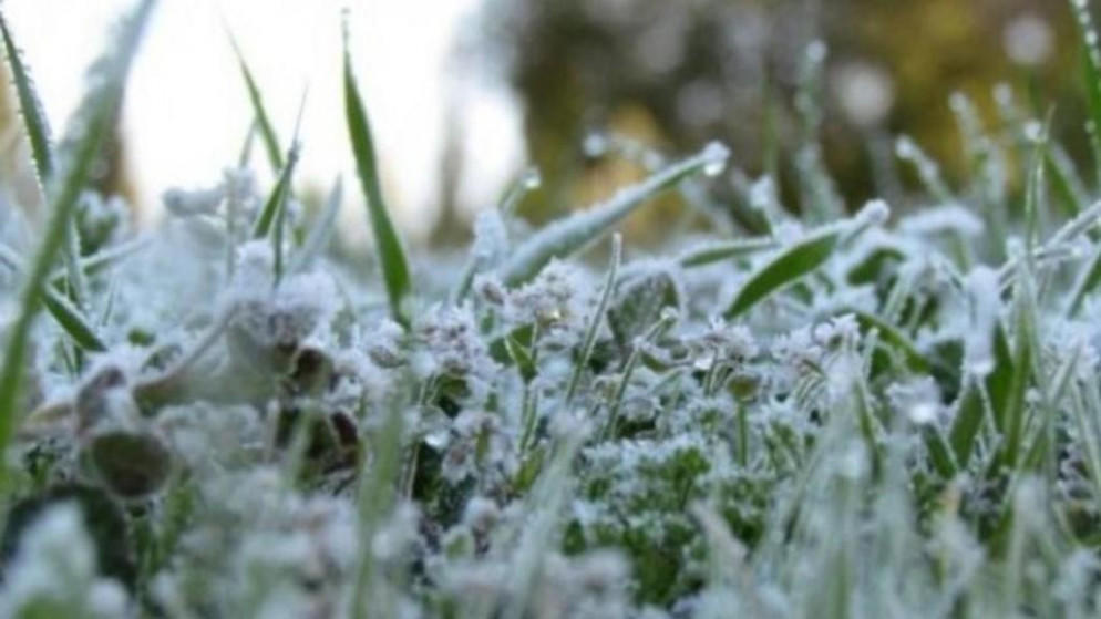 أجواء قارسة البرودة ومشمسة الخميس