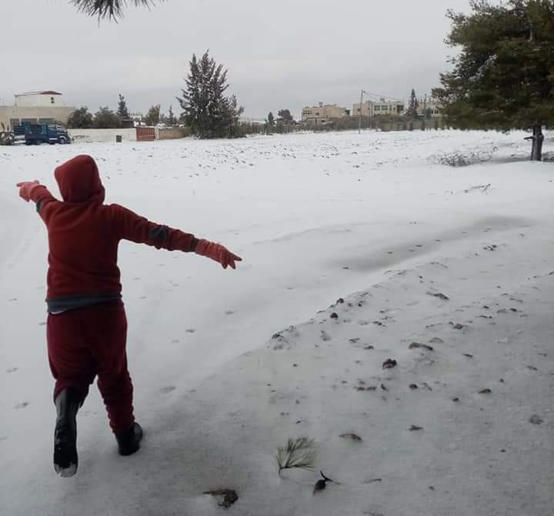 تأمين 12 شخصاً تقطعت بهم السبل في الطفيلة