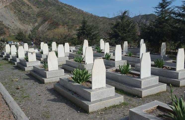 تفاصيل صادمة  مصري يغتصب فتاة ميتة بقبرها