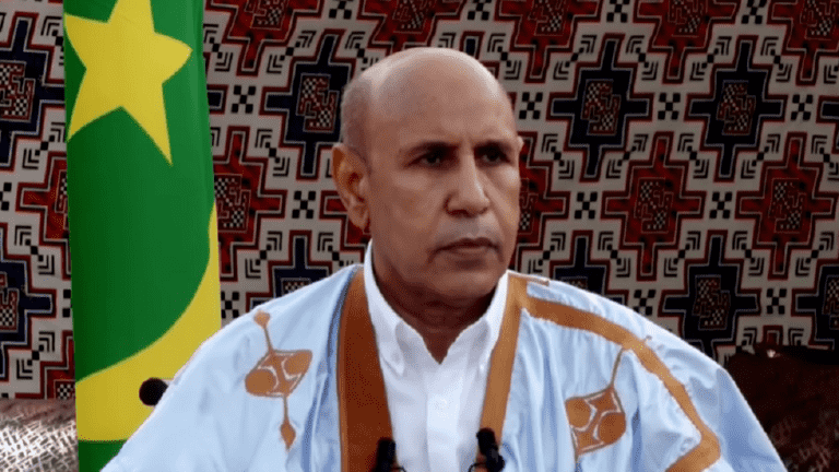 موريتانيا تؤكد مقتل 7 من مواطنيها في مالي