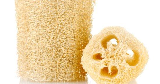 قنبلة موقوتة تعيش في حمامك إليك مخاطر ليفة الاستحمام