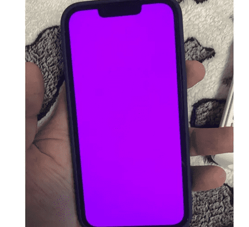 اللون الوردي مشكلة كبيرة تحاصر آيفون 13