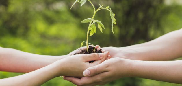 أعمال فى الدنيا تدخلك الجنة لا تفوتها 