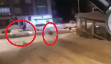 حقيقة دهس 3 متزلجين في الأردن  فيديو 