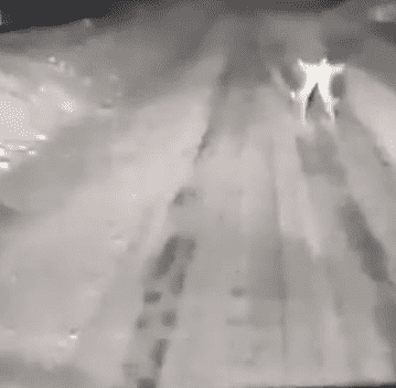 عند درجة حرارة 15 تحت الصفر أرنبان مشاكسان يتشاجران 