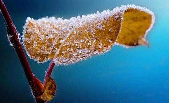 الأرصاد الأردنية تكشف الحالة الجوية لليوم السبت