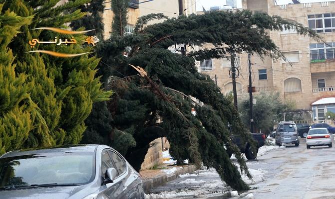 الحنيفات تعاملنا مع 586 ملاحظة خلال المنخفض