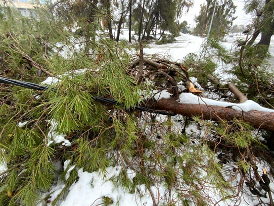 الكهرباء الأردنية 160 عامود تضرر في المنخفض  صور