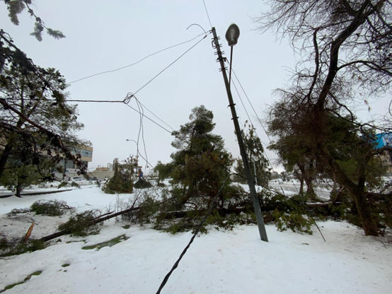 تكليف شركة استشاريَّة لتقييم الشَّبكة الكهربائيَّة