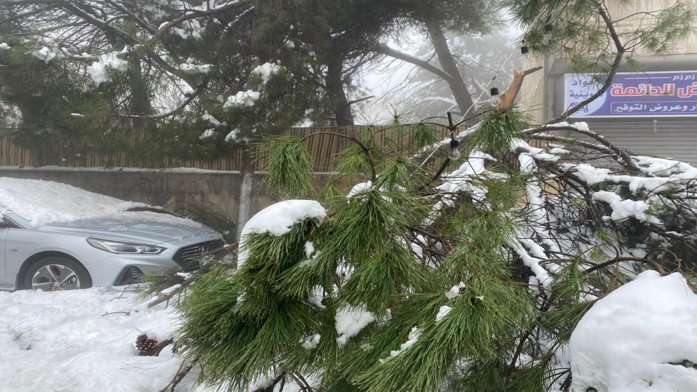 الزراعة خاطبت الكهرباء الأردنية قبل فصل الشتاء